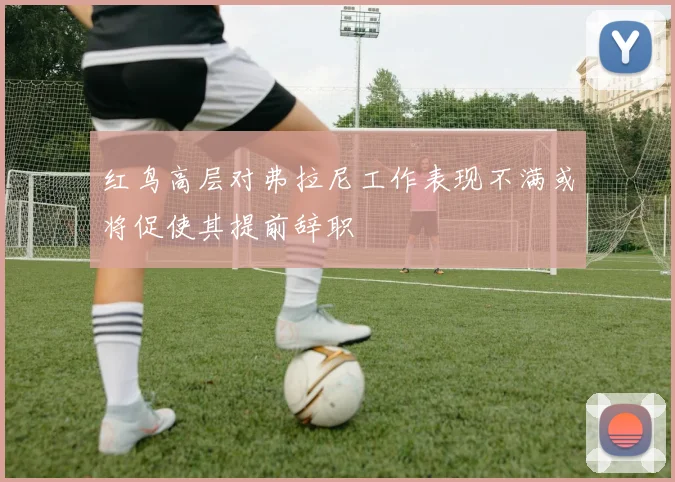 红鸟高层对弗拉尼工作表现不满或将促使其提前辞职